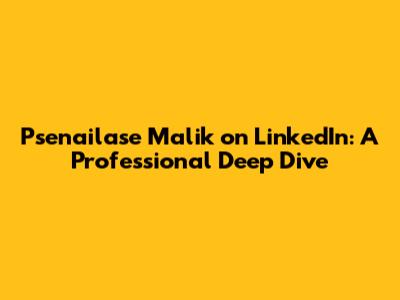 Psenailase Malik on LinkedIn: A Professional Deep Dive