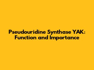 Pseudouridine Synthase YAK: Function and Importance