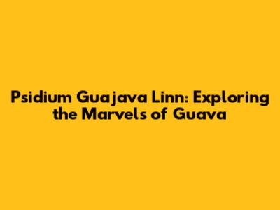 Psidium Guajava Linn: Exploring the Marvels of Guava