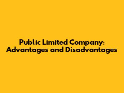 Public Limited Company: Advantages and Disadvantages
