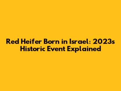 Red Heifer Born in Israel: 2023's Historic Event Explained