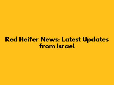 Red Heifer News: Latest Updates from Israel