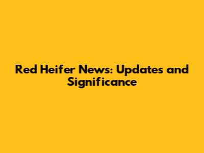 Red Heifer News: Updates and Significance