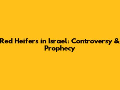 Red Heifers in Israel: Controversy & Prophecy