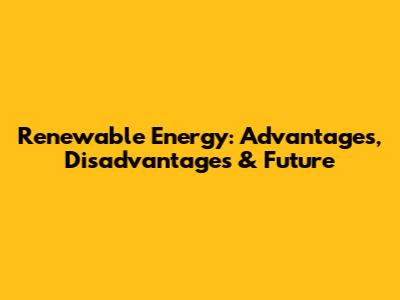 Renewable Energy: Advantages, Disadvantages & Future