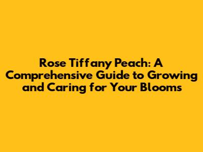 Rose Tiffany Peach: A Comprehensive Guide to Growing and Caring for Your Blooms