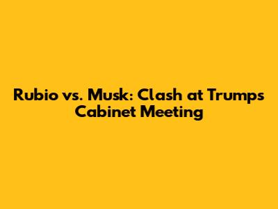Rubio vs. Musk: Clash at Trump's Cabinet Meeting