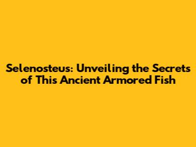 Selenosteus: Unveiling the Secrets of This Ancient Armored Fish