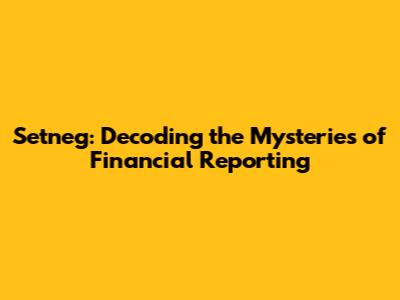 Setneg: Decoding the Mysteries of Financial Reporting