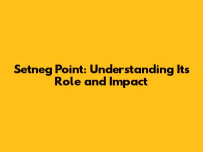 Setneg Point: Understanding Its Role and Impact