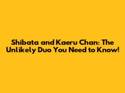 Shibata and Kaeru Chan: The Unlikely Duo You Need to Know!
