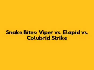Snake Bites: Viper vs. Elapid vs. Colubrid Strike