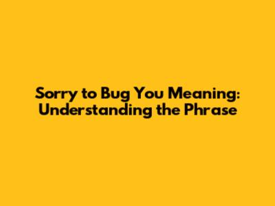 Sorry to Bug You Meaning: Understanding the Phrase