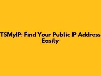 TSMyIP: Find Your Public IP Address Easily