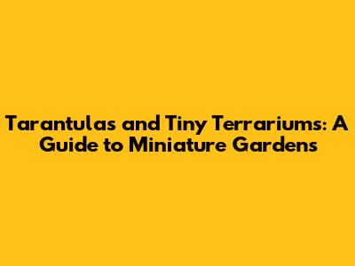 Tarantulas and Tiny Terrariums: A Guide to Miniature Gardens