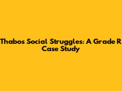 Thabo's Social Struggles: A Grade R Case Study