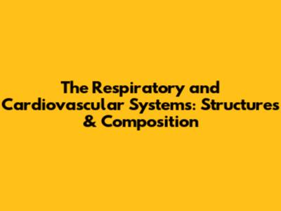 The Respiratory and Cardiovascular Systems: Structures & Composition