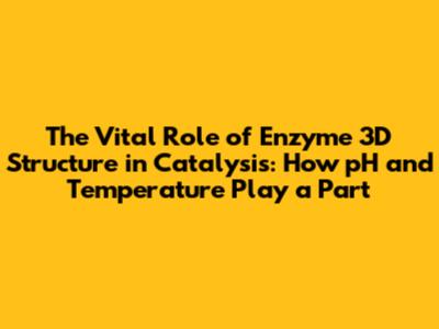 The Vital Role of Enzyme 3D Structure in Catalysis: How pH and Temperature Play a Part