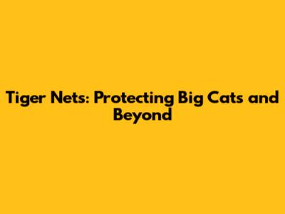 Tiger Nets: Protecting Big Cats and Beyond