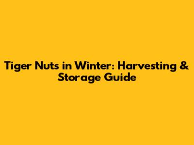 Tiger Nuts in Winter: Harvesting & Storage Guide