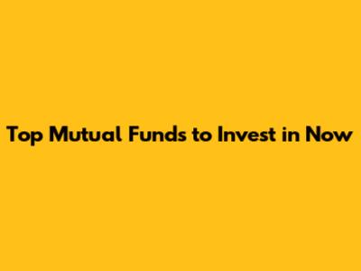 Top Mutual Funds to Invest in Now
