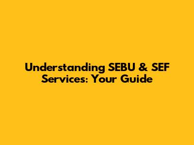 Understanding SEBU & SEF Services: Your Guide