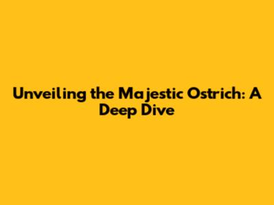 Unveiling the Majestic Ostrich: A Deep Dive