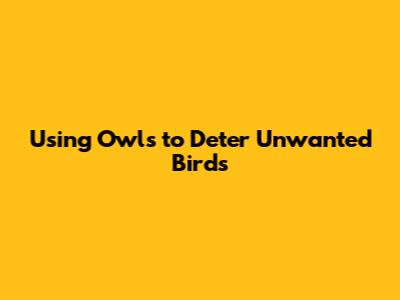 Using Owls to Deter Unwanted Birds