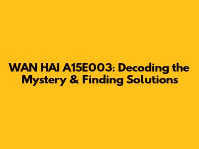 WAN HAI A15E003: Decoding the Mystery & Finding Solutions