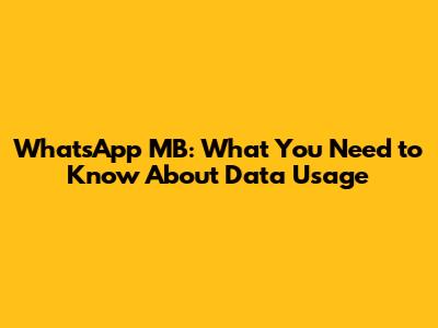 WhatsApp MB: What You Need to Know About Data Usage